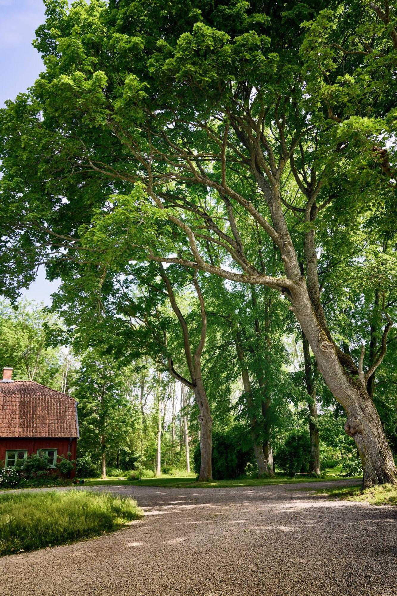 Kungs Starby Gard Bed And Breakfast Vadstena Exterior foto